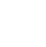 Ruger logo